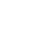 icon globe